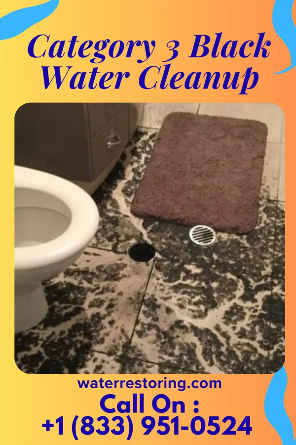 Category 3 Black Water Cleanup in Beverly, MA