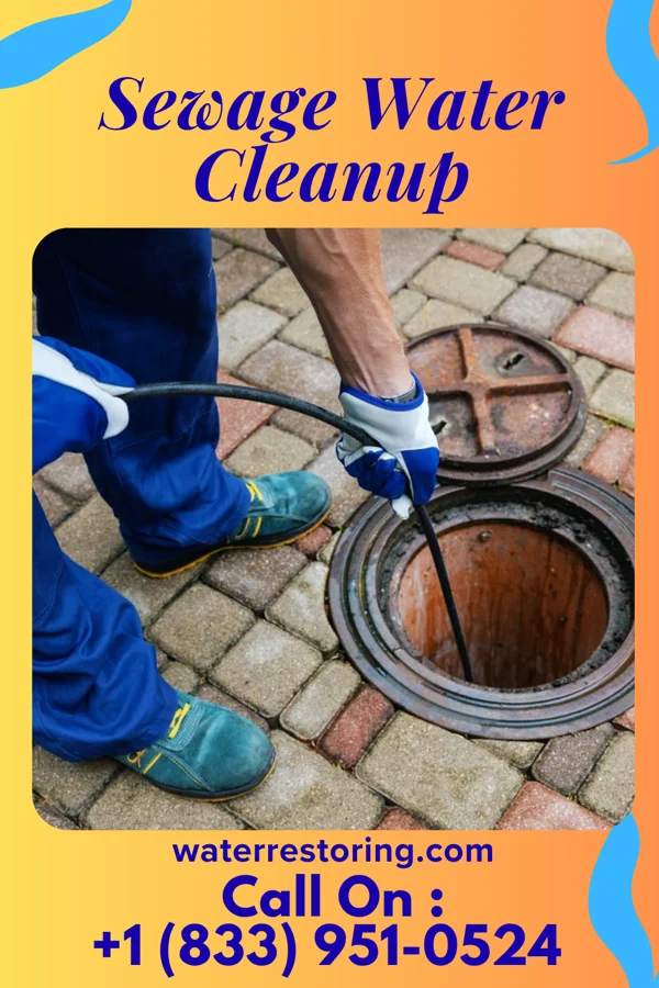 Sewage Water Cleanup in Beverly, MA